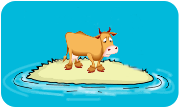 Stranded Cow